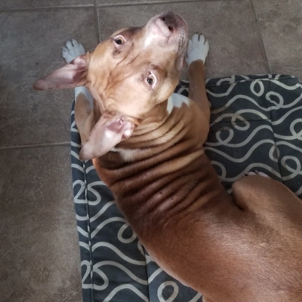 Meet your Posher, Jamie